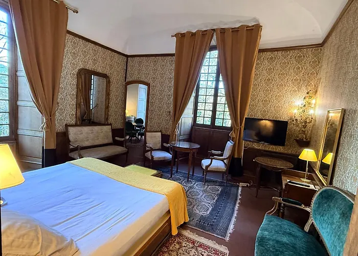 Hôtel accueillant les animaux: Chateau d'Ayres - Hôtel&Spa